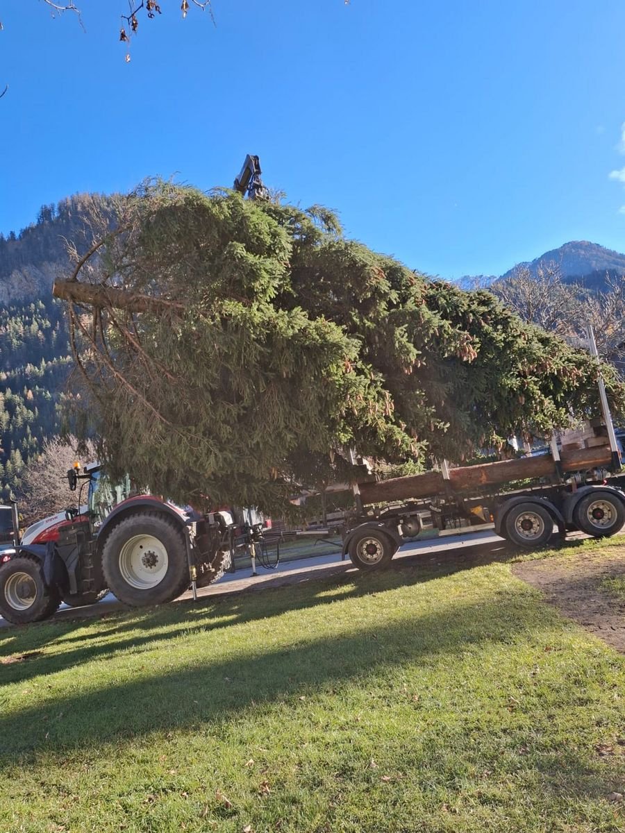 Forstschlepper typu Steyr 6300 Terrus CVT, Gebrauchtmaschine v Ried im Oberinntal (Obrázek 9)