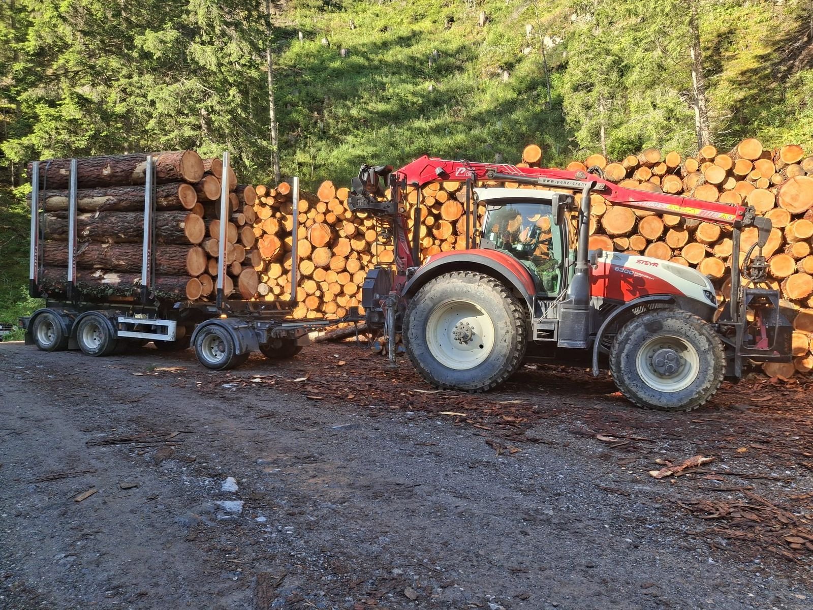 Forstschlepper typu Steyr 6300 Terrus CVT, Gebrauchtmaschine v Ried im Oberinntal (Obrázek 10)