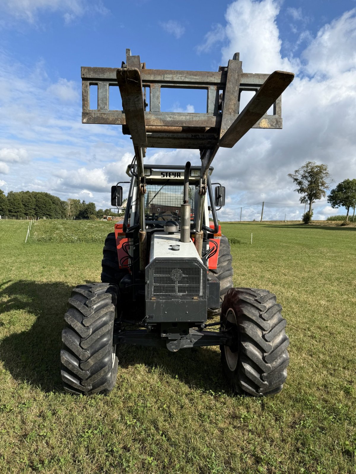 Forstschlepper des Typs Steyr 8110A SK2, Gebrauchtmaschine in Olbernhau (Bild 4)