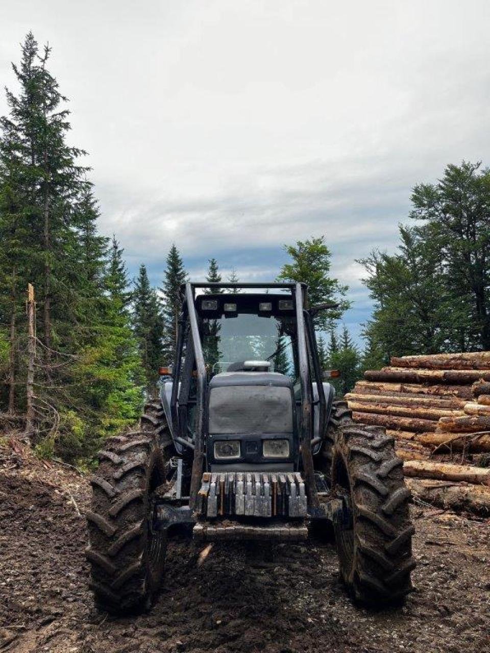 Forstschlepper of the type Valtra 6550, Gebrauchtmaschine in Judenburg (Picture 7)