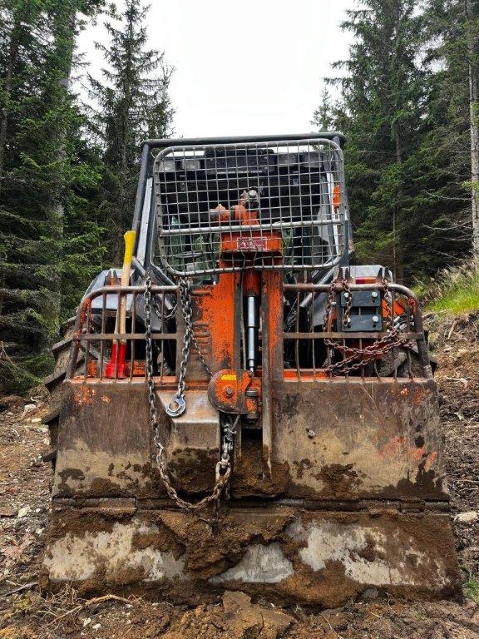 Forstschlepper of the type Valtra 6550, Gebrauchtmaschine in Judenburg (Picture 9)