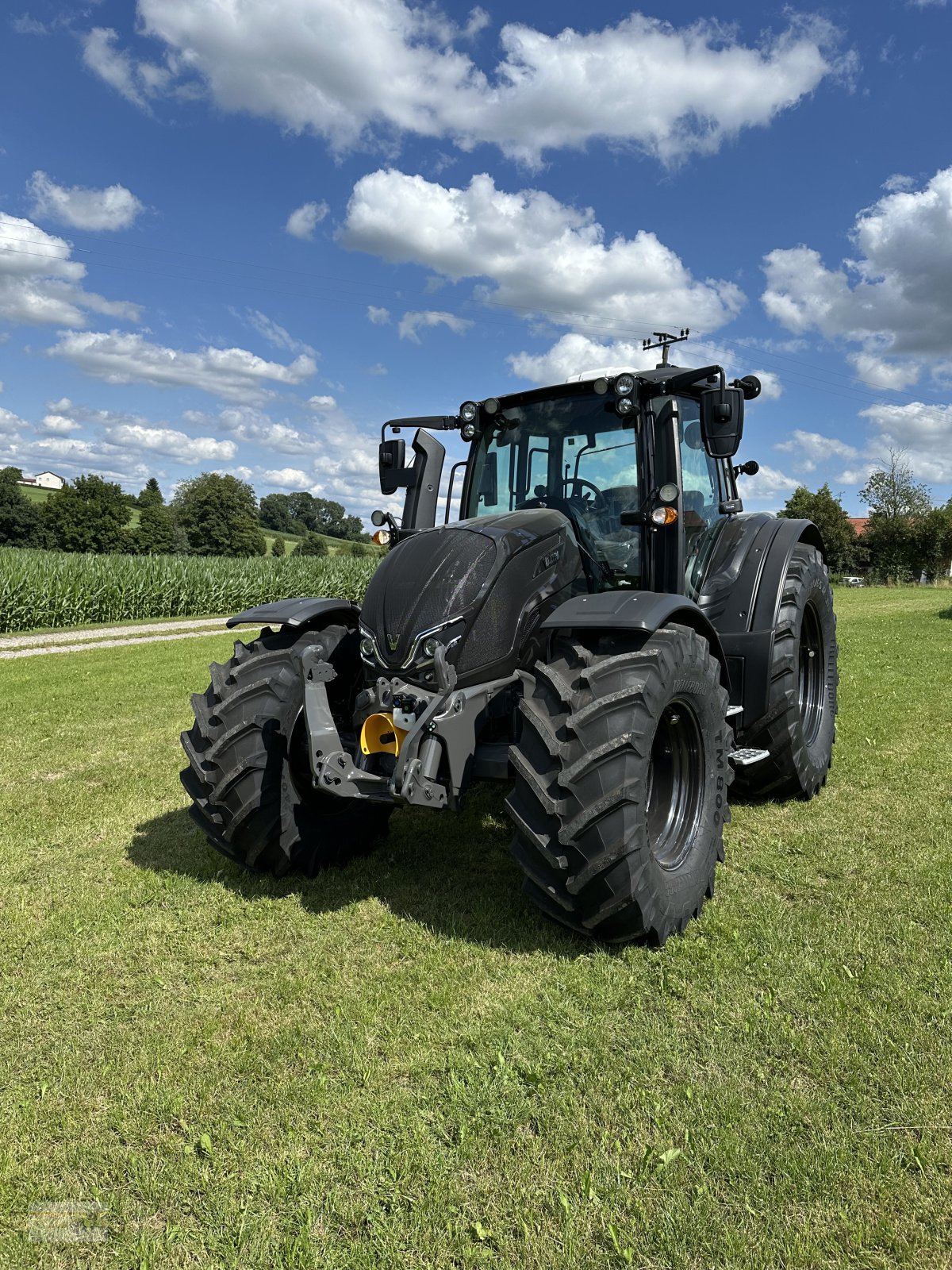 Forstschlepper des Typs Valtra N175 Direct, Neumaschine in Neumarkt St. Veit (Bild 1)