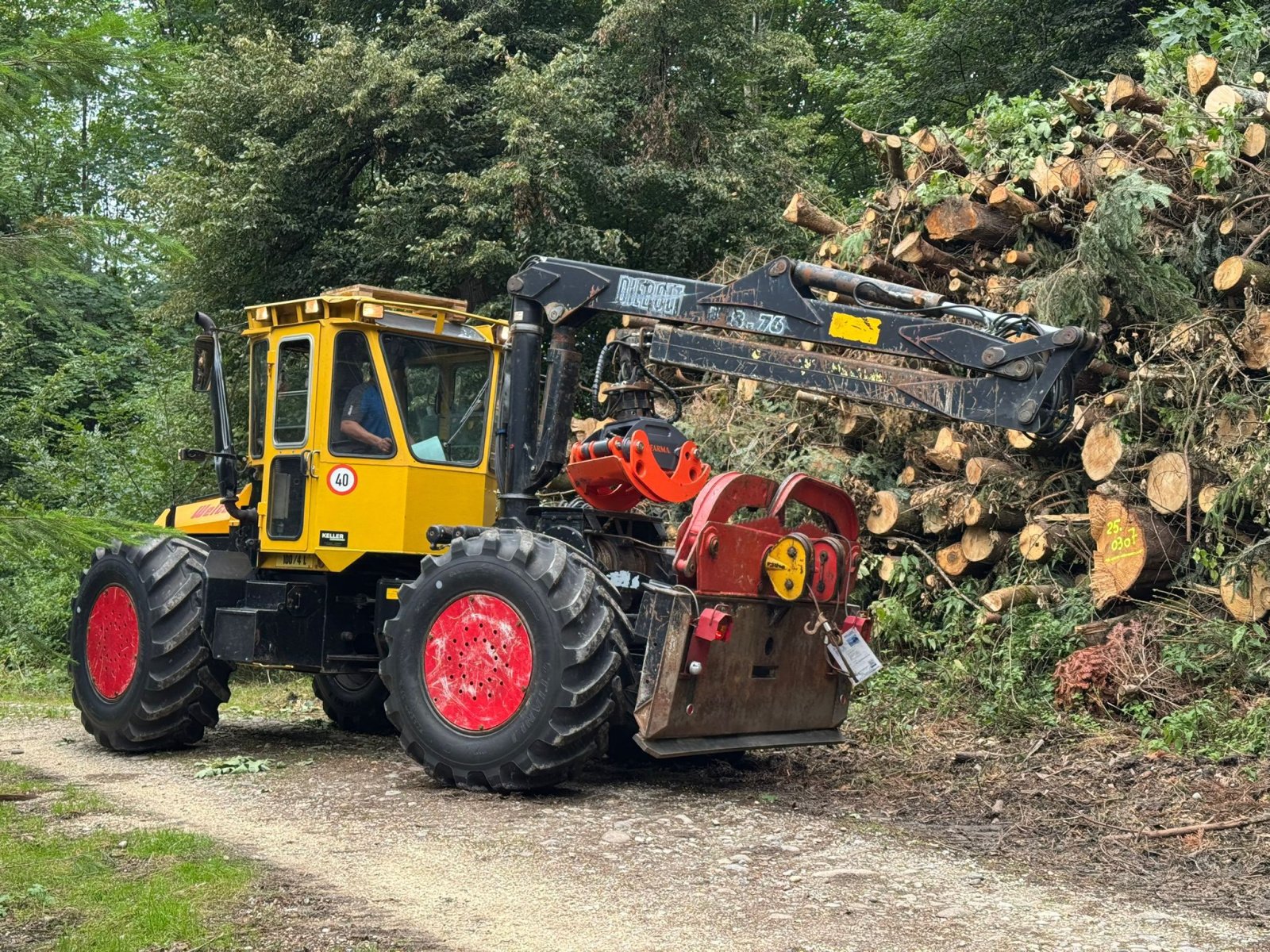 Forstschlepper Türe ait Welte Ökonom 100/4L, Gebrauchtmaschine içinde Sulzberg (resim 1)