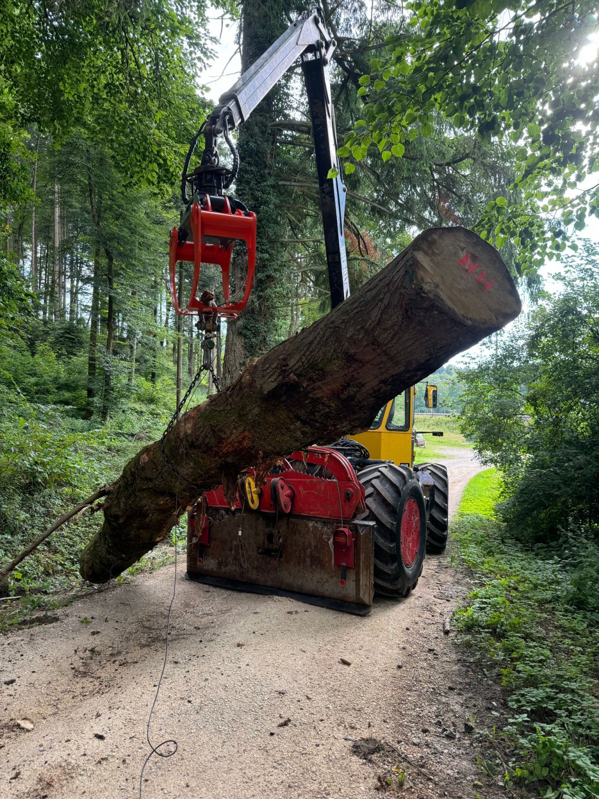 Forstschlepper Türe ait Welte Ökonom 100/4L, Gebrauchtmaschine içinde Sulzberg (resim 4)