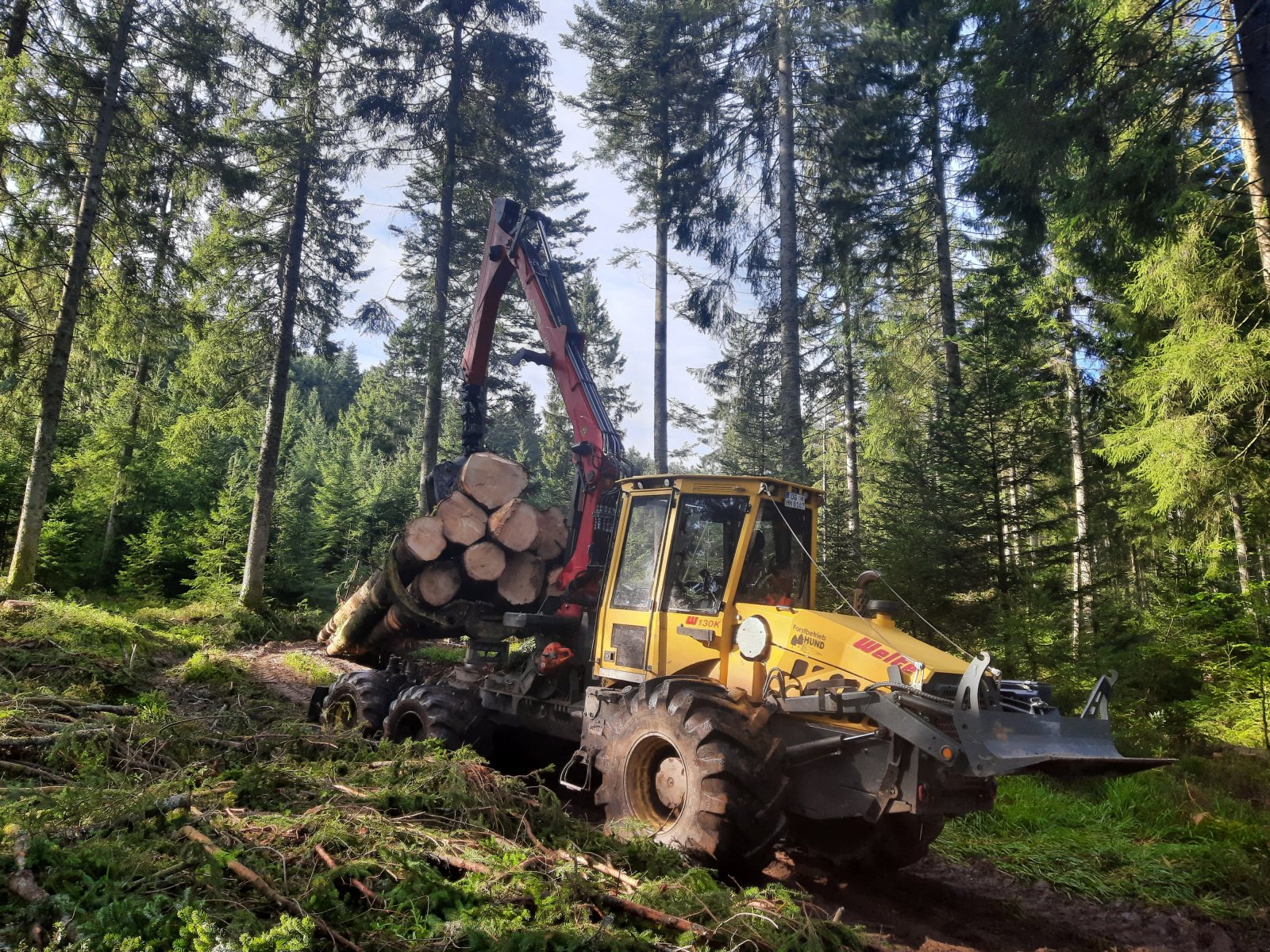 Forstschlepper za tip Welte W 130 K, Gebrauchtmaschine u Oberkirch (Slika 2)