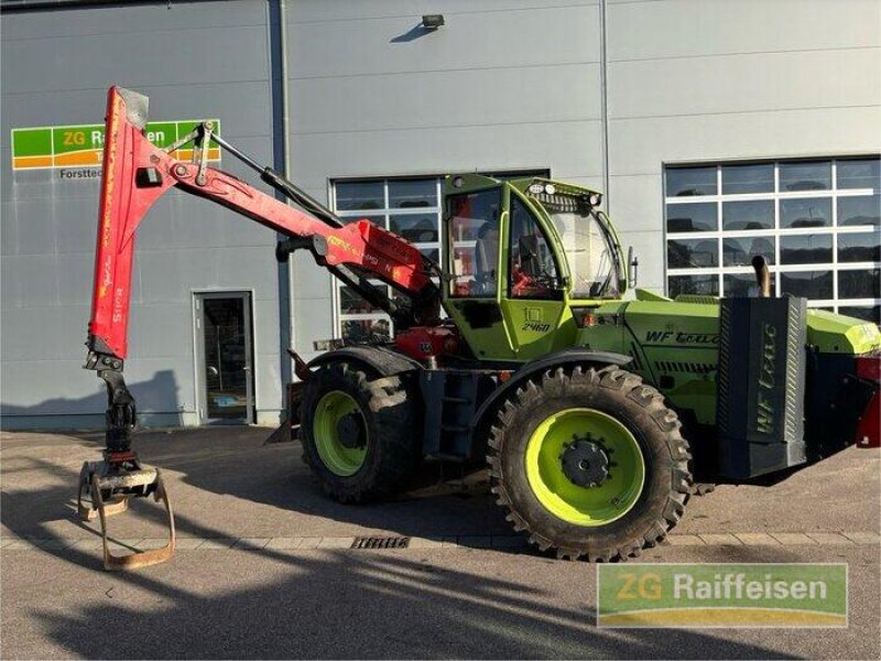 Forstschlepper typu Werner Werner WF Trac 2460, Gebrauchtmaschine v Steinach (Obrázek 11)