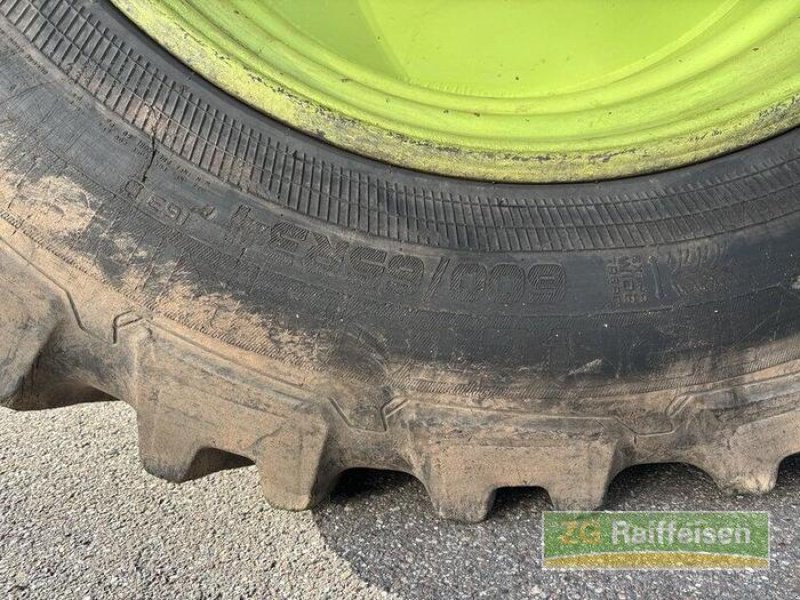 Forstschlepper typu Werner Werner WF Trac 2460, Gebrauchtmaschine v Steinach (Obrázek 13)