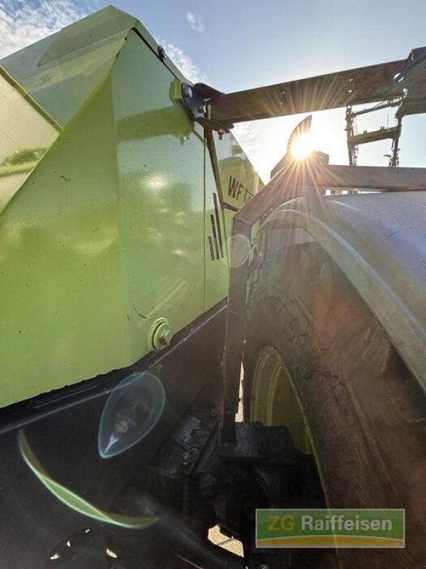 Forstschlepper typu Werner Werner WF Trac 2460, Gebrauchtmaschine v Steinach (Obrázek 22)