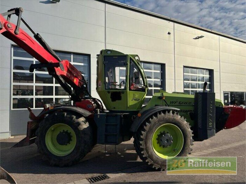 Forstschlepper typu Werner Werner WF Trac 2460, Gebrauchtmaschine v Steinach (Obrázek 10)