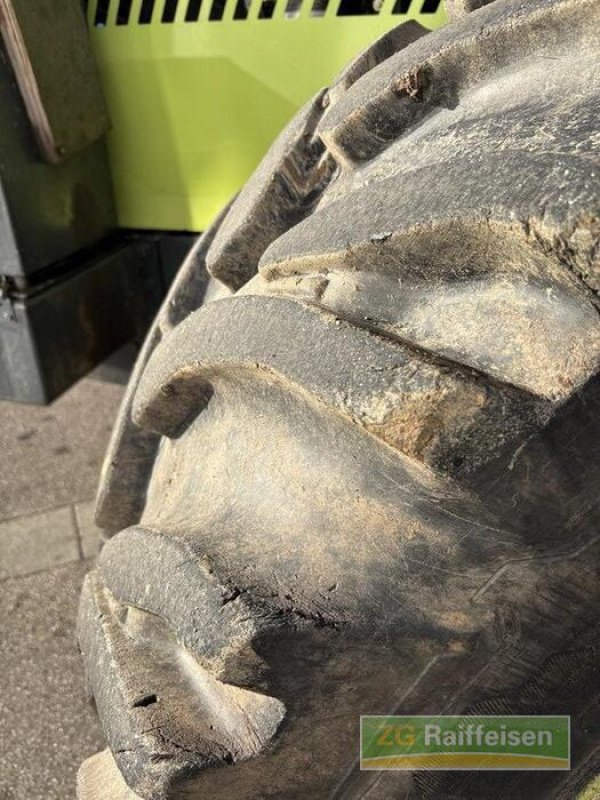 Forstschlepper typu Werner Werner WF Trac 2460, Gebrauchtmaschine v Steinach (Obrázek 4)