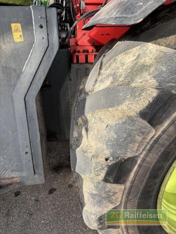 Forstschlepper typu Werner Werner WF Trac 2460, Gebrauchtmaschine v Steinach (Obrázek 3)