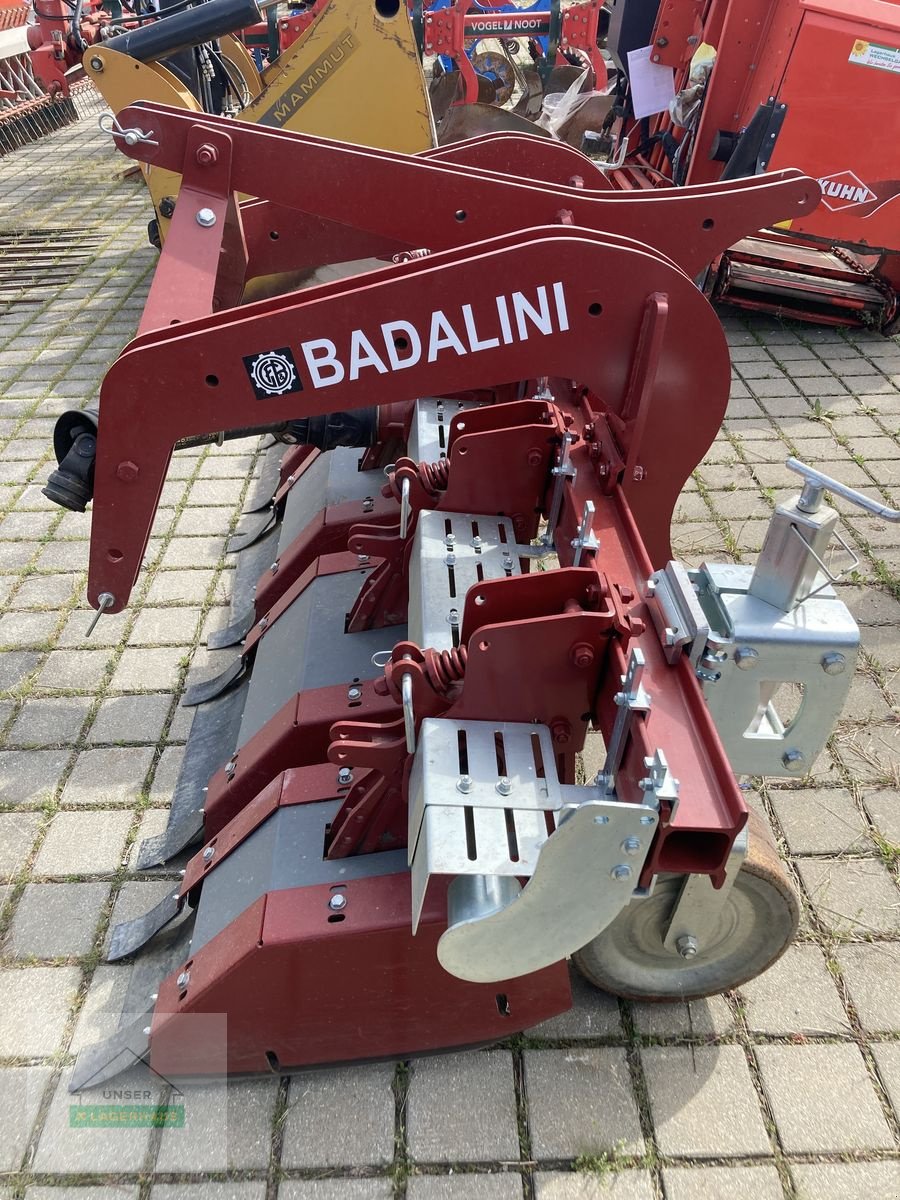 Fräse typu Badalini Reihenfräse 4-reihig, Gebrauchtmaschine w Hartberg (Zdjęcie 1)