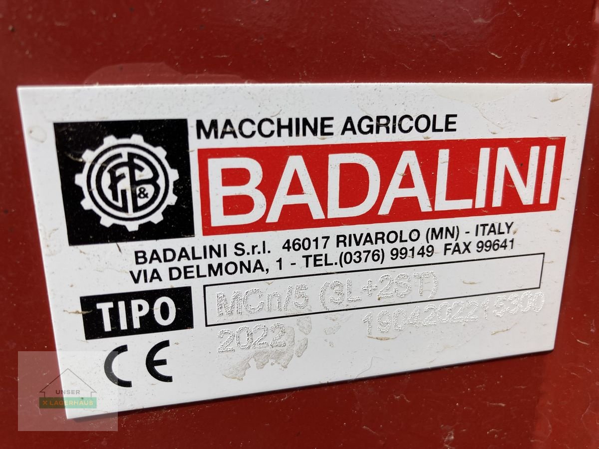 Fräse typu Badalini Reihenfräse 4-reihig, Gebrauchtmaschine w Hartberg (Zdjęcie 4)