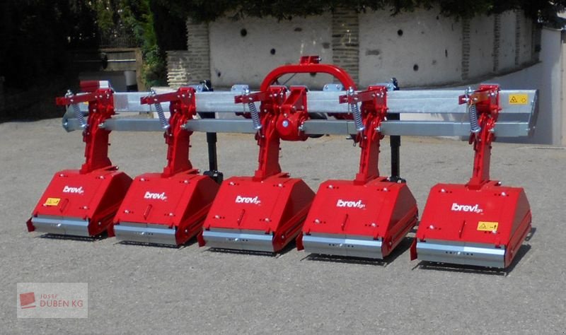 Fräse tipa Breviglieri Reihenfräse, Neumaschine u Ziersdorf (Slika 7)