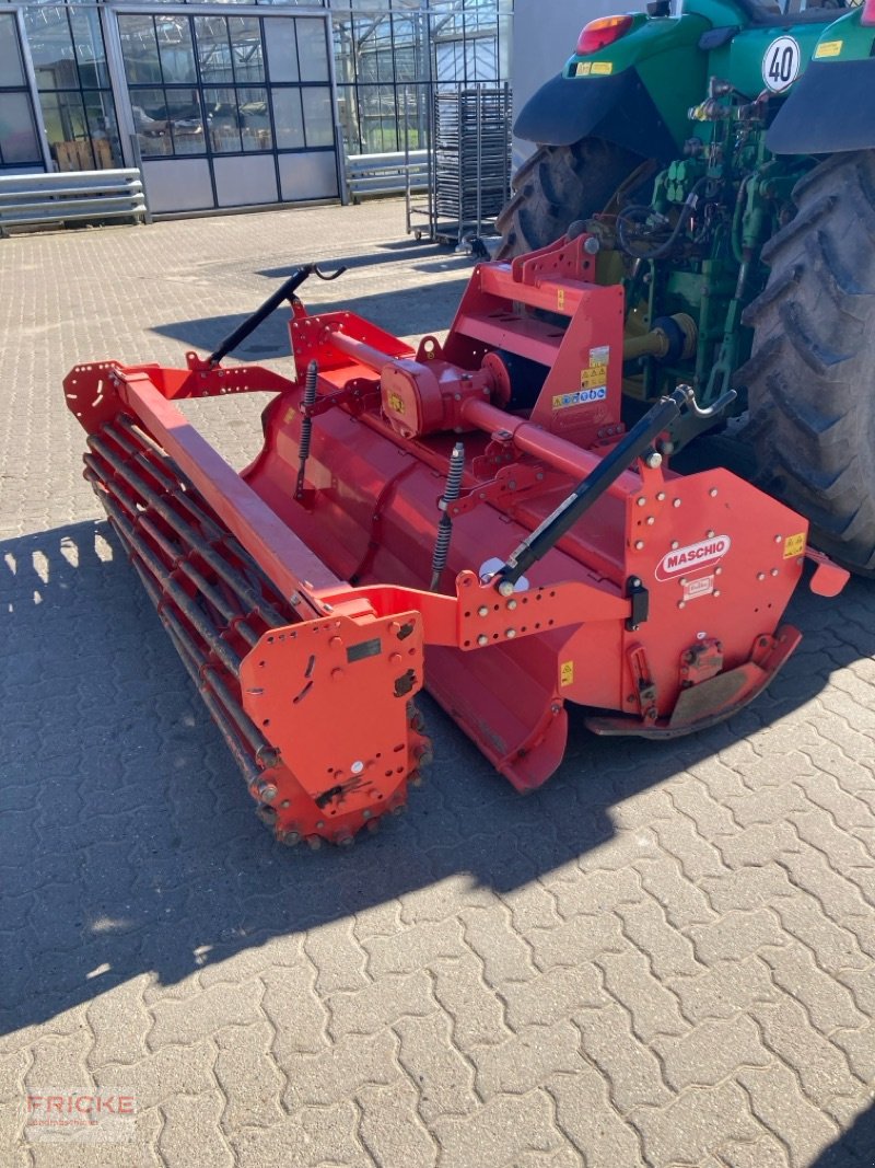 Fräse of the type Maschio C 250, Gebrauchtmaschine in Bockel - Gyhum (Picture 3)