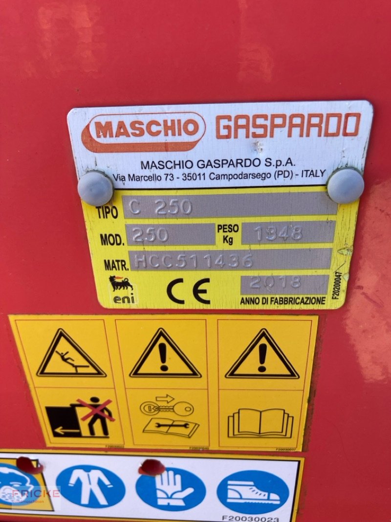 Fräse of the type Maschio C 250, Gebrauchtmaschine in Bockel - Gyhum (Picture 12)