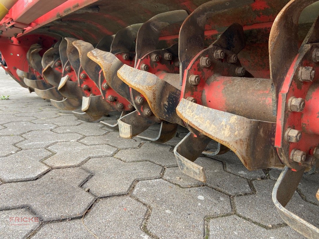 Fräse of the type Maschio C 250, Gebrauchtmaschine in Bockel - Gyhum (Picture 17)