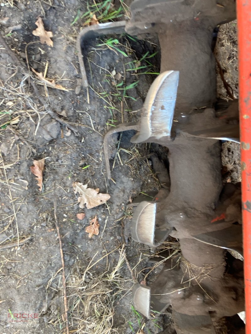 Fräse tipa Maschio G 275 mit Zahnpackerwalze, Gebrauchtmaschine u Bockel - Gyhum (Slika 7)