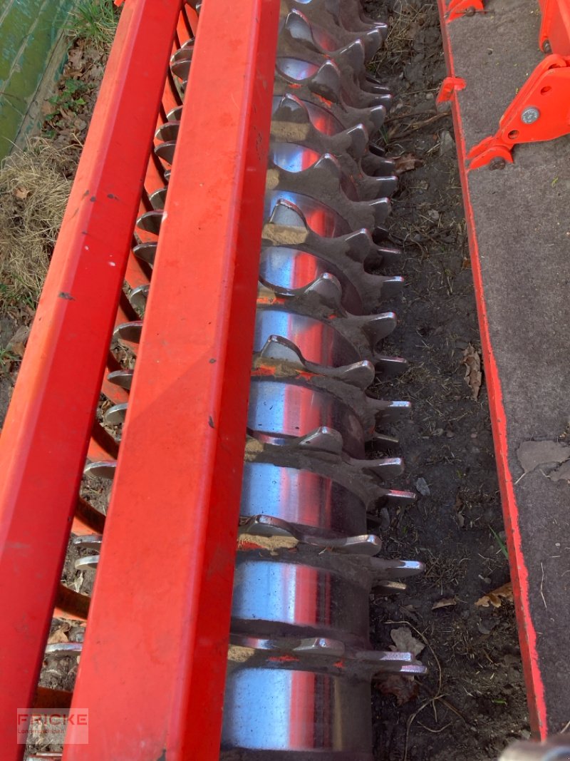 Fräse tipa Maschio G 275 mit Zahnpackerwalze, Gebrauchtmaschine u Bockel - Gyhum (Slika 8)