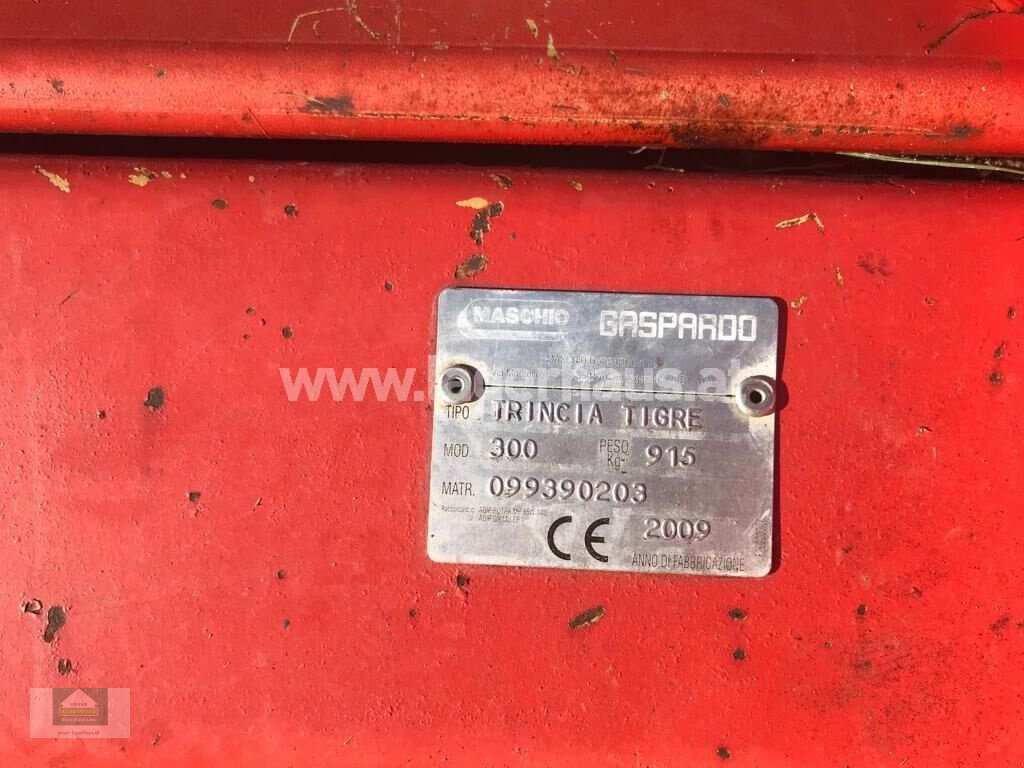 Fräse tipa Sonstige 300, Gebrauchtmaschine u Klagenfurt (Slika 2)