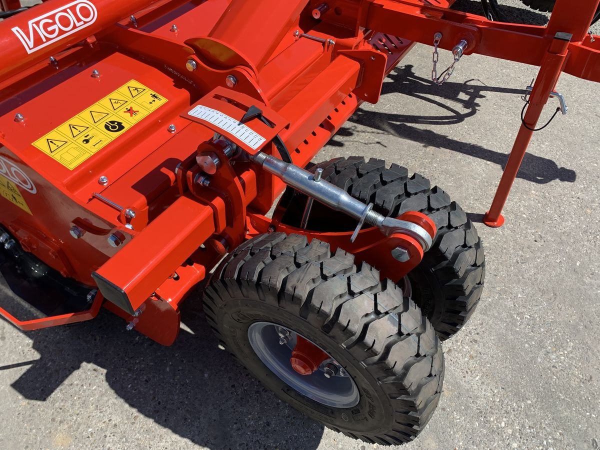 Fräse des Typs Vigolo FPG 310 BIO, Neumaschine in Starrein (Bild 5)