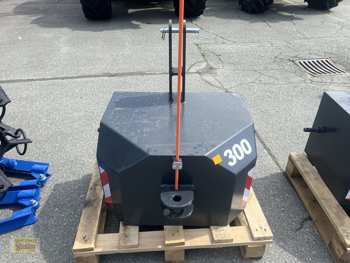 Frontgewicht des Typs Sonstige 300 kg KAT 1, Neumaschine in Kötschach (Bild 4)