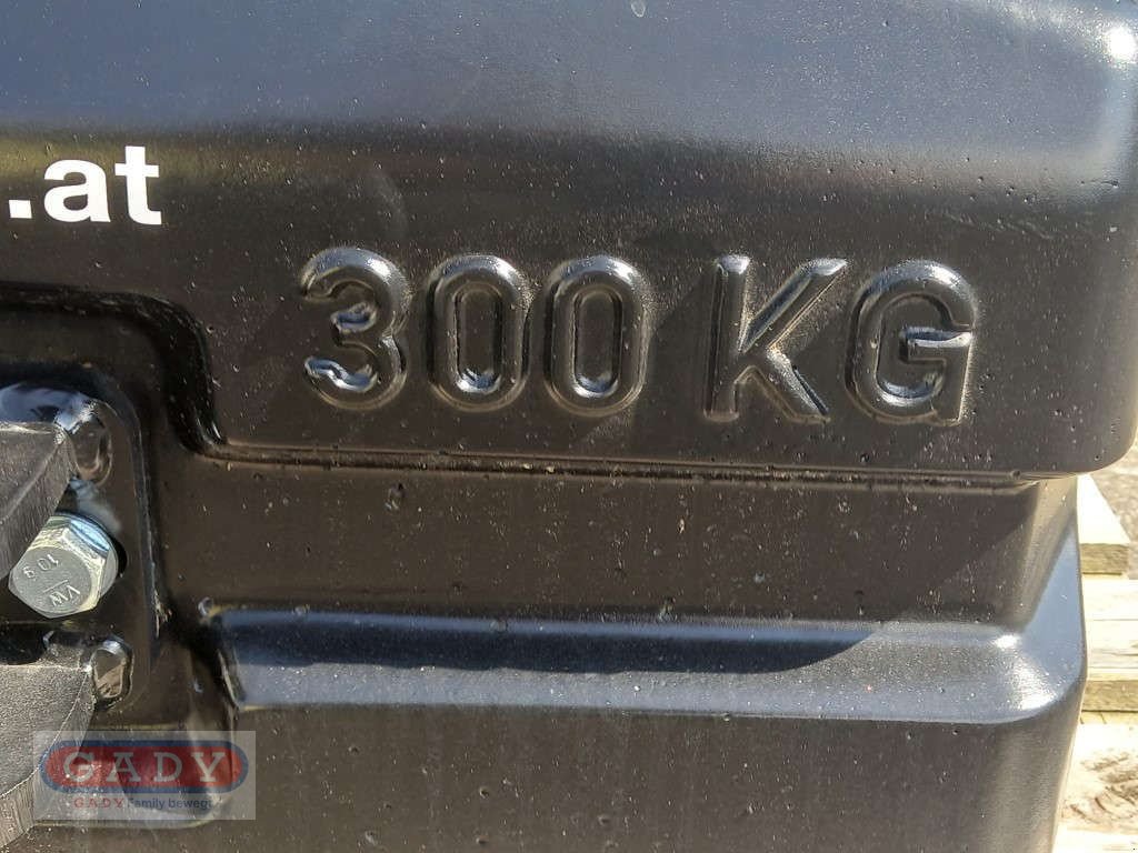 Frontgewicht of the type Sonstige BBP 300KG, Neumaschine in Lebring (Picture 9)