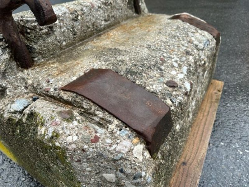 Frontgewicht des Typs Sonstige Betongewicht 250 und 300kg, gebraucht, Gebrauchtmaschine in Tamsweg (Bild 10)
