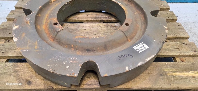 Frontgewicht Türe ait Sonstige Sonstiges, Gebrauchtmaschine içinde Hemmet (resim 4)