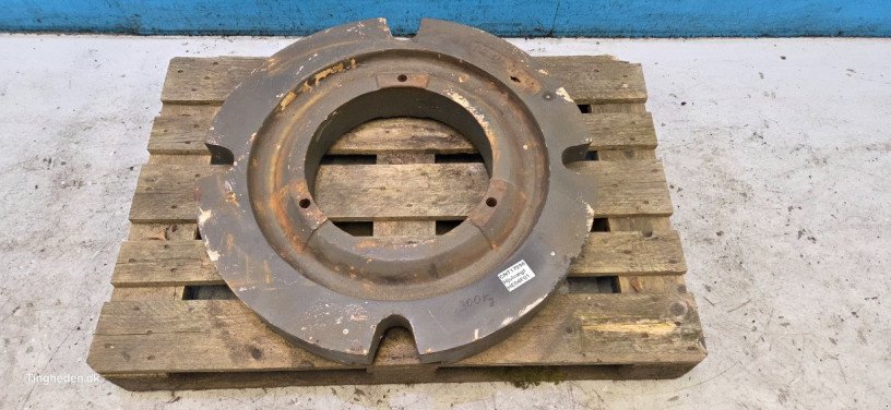 Frontgewicht Türe ait Sonstige Sonstiges, Gebrauchtmaschine içinde Hemmet (resim 2)