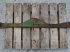 Frontlader des Typs John Deere 2450, Gebrauchtmaschine in Hemmet (Bild 9)