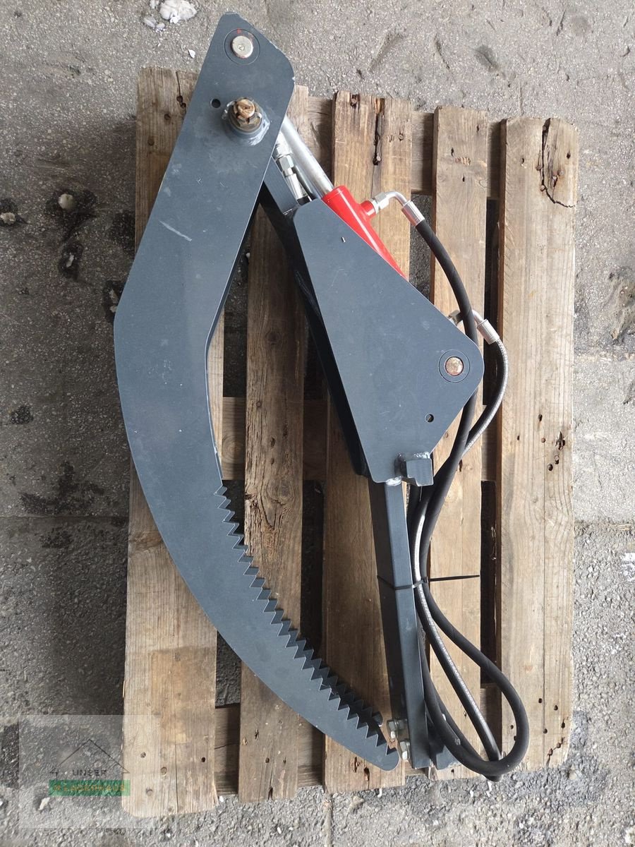 Frontladerzubehör του τύπου Sonstige Stammgreifer für Paletten Gabel, Neumaschine σε Grosswilfersdorf (Φωτογραφία 1)