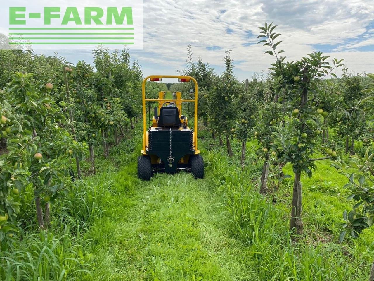 Frontstapler des Typs Eurotrac cpcd10 / agri10, Gebrauchtmaschine in SALZBURG (Bild 19)