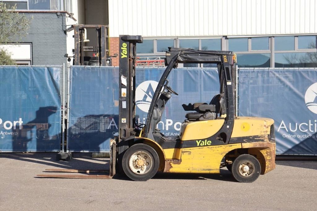 Frontstapler typu Yale GDP 35VX, Gebrauchtmaschine w Antwerpen (Zdjęcie 2)