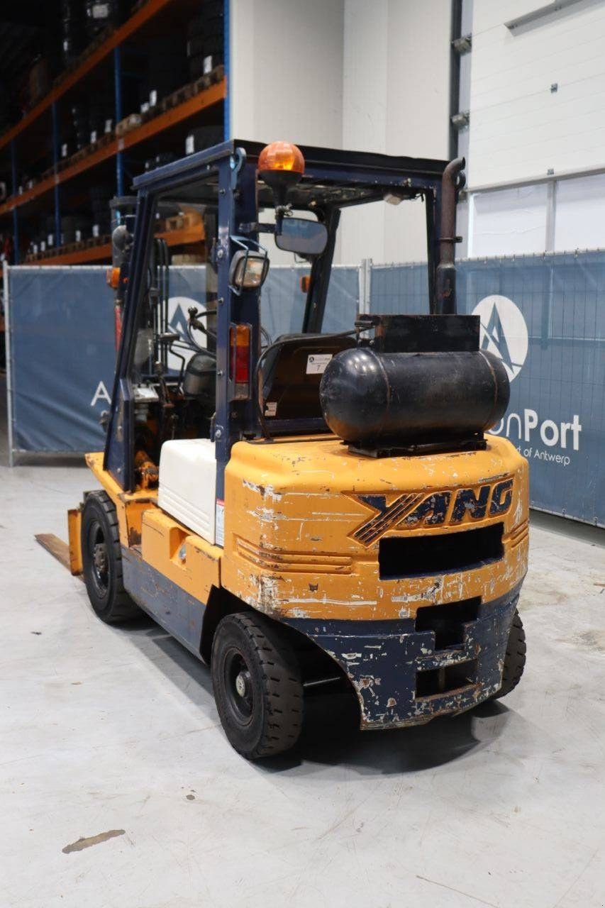 Frontstapler of the type Yang FG 25, Gebrauchtmaschine in Antwerpen (Picture 4)