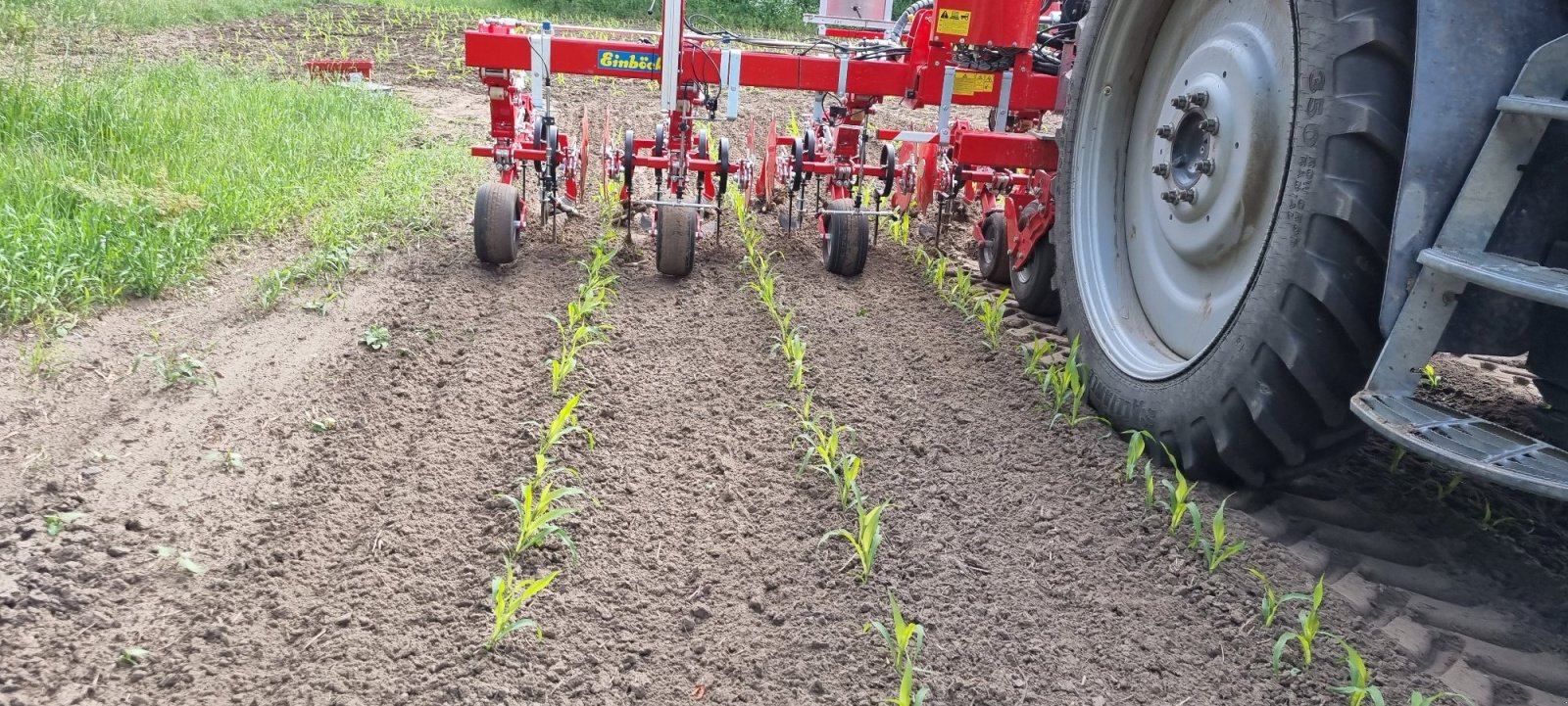 Fronttank für Anbauspritze za tip AGRIPP Bandspritze ES, Neumaschine u Welver (Slika 21)