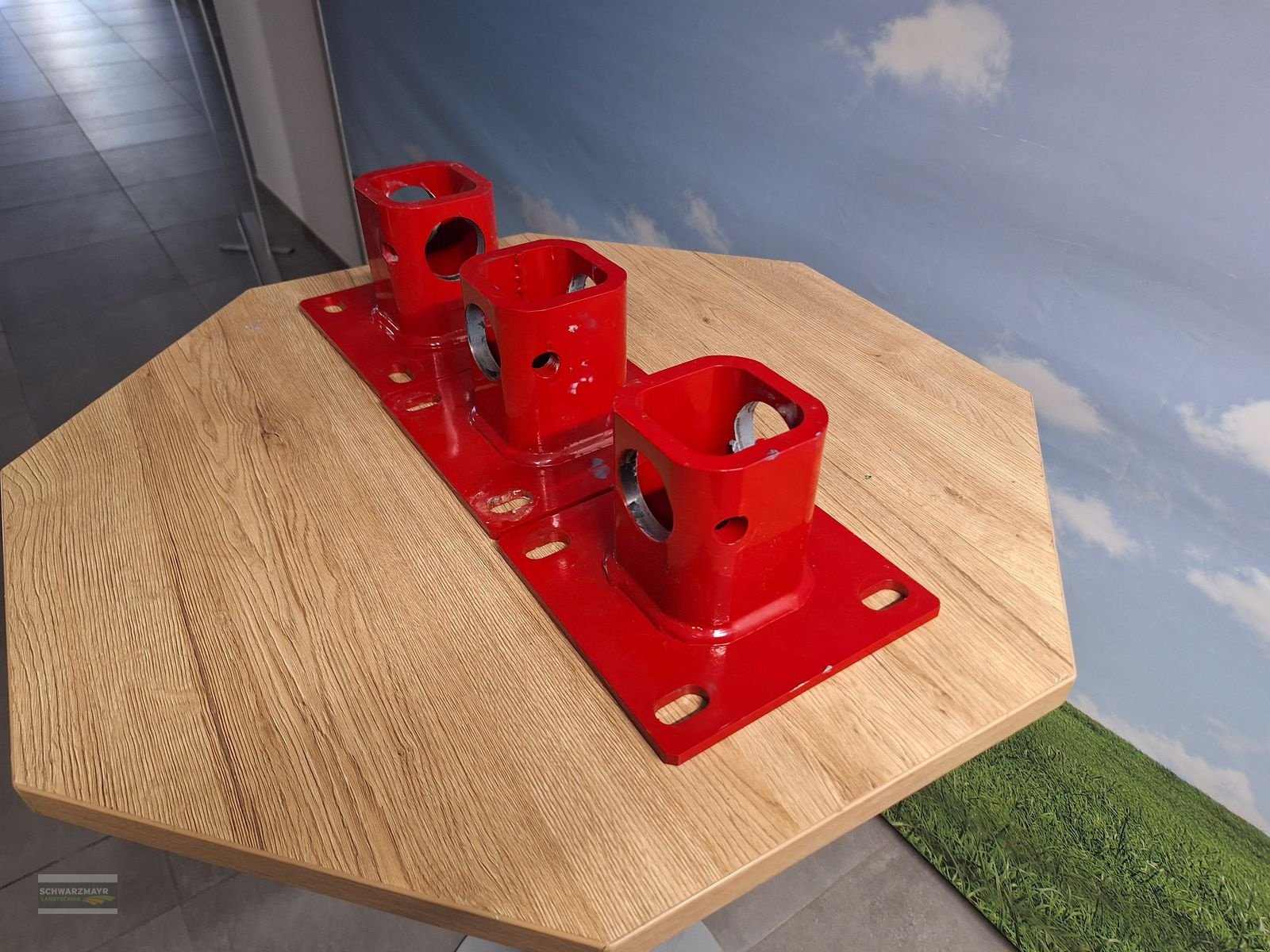 Futtermischwagen от тип Siloking Halteplatten lang, Neumaschine в Aurolzmünster (Снимка 4)