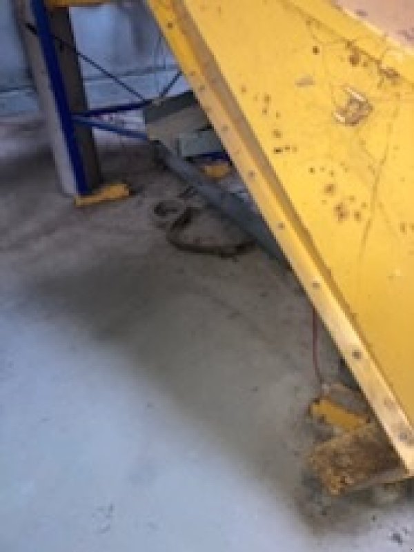 Futtermischwagen des Typs Skiold Maleblandeanlæg 1000 kg, Gebrauchtmaschine in Egtved (Bild 13)