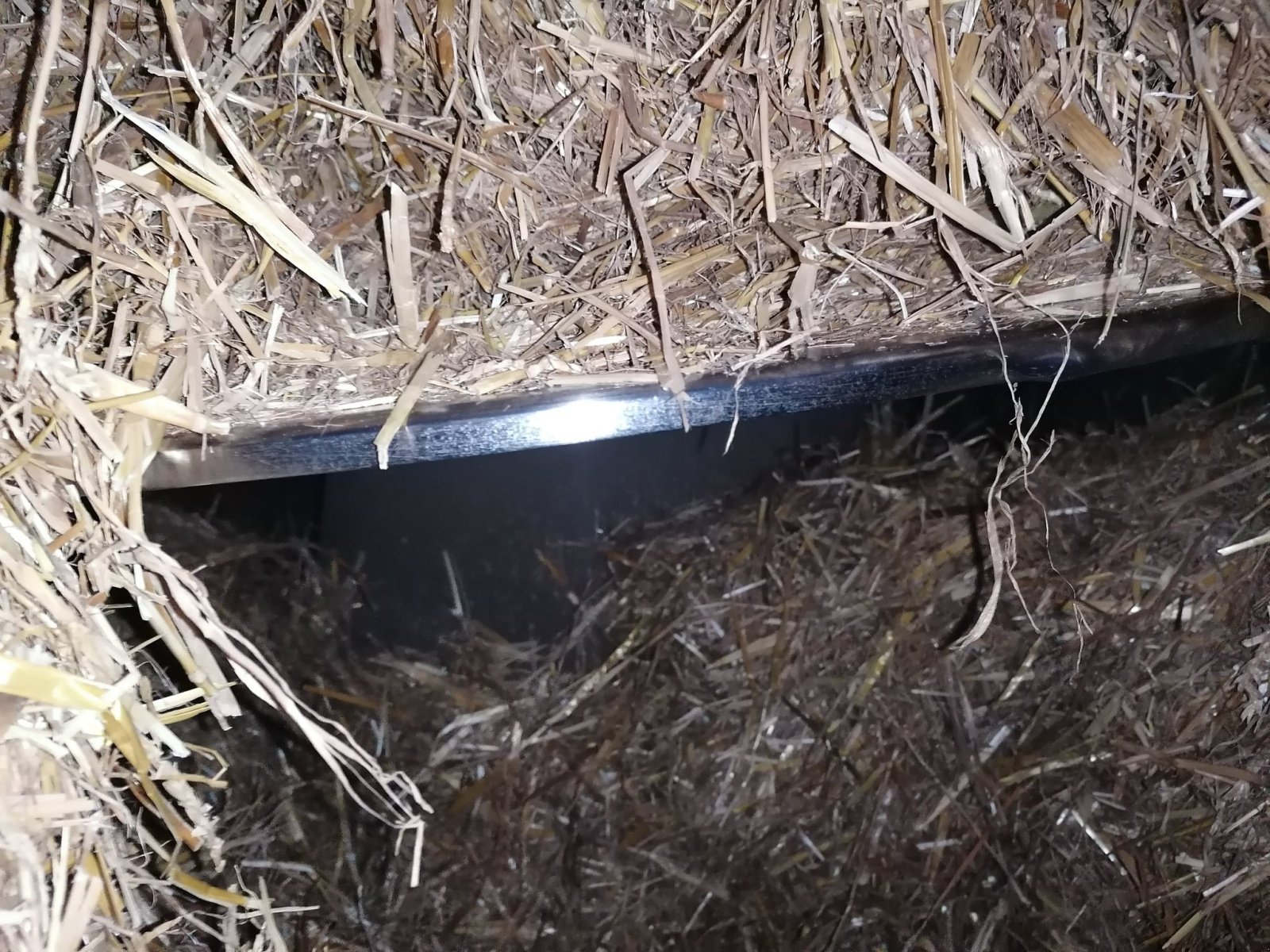 Futtermischwagen typu Sonstige BORAMEL, Gebrauchtmaschine v Le Horps (Obrázek 4)