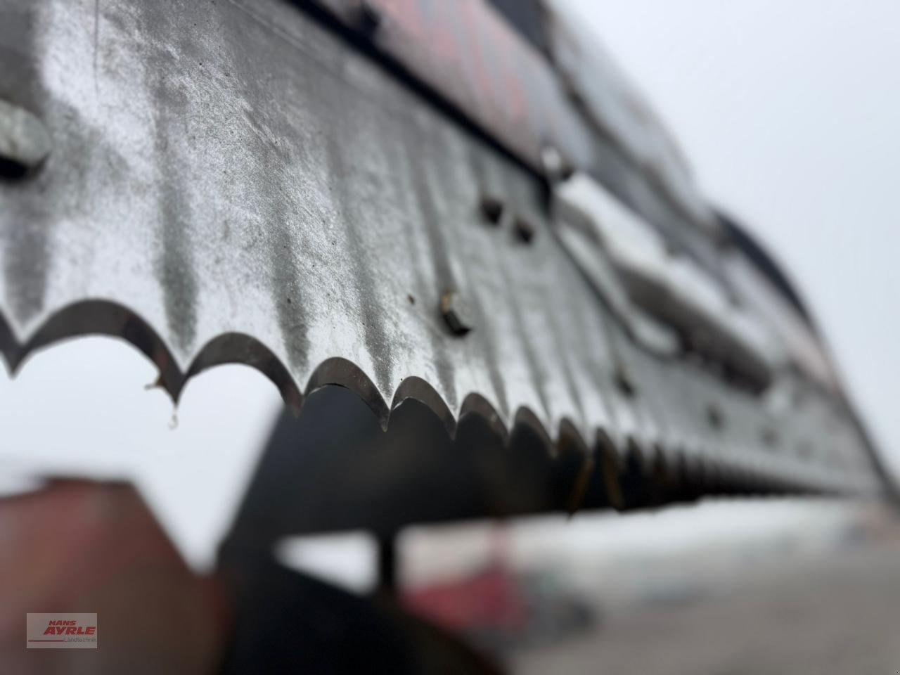 Futtermischwagen des Typs Trioliet Triomix 1-1200 TM12, Gebrauchtmaschine in Steinheim (Bild 14)