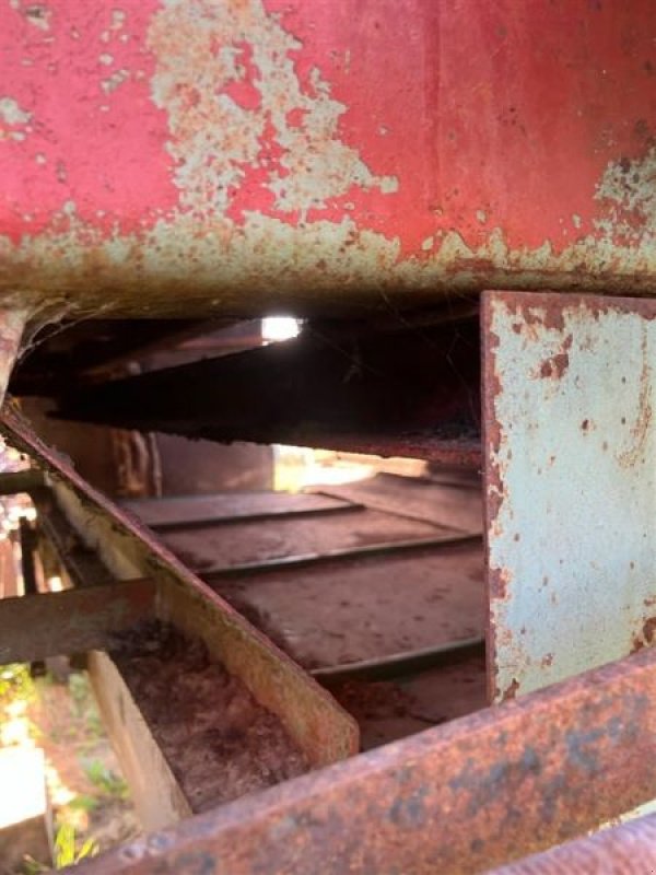 Futterverteilwagen van het type Fortschritt GEBR. HT40.04, Gebrauchtmaschine in Plessa (Foto 11)