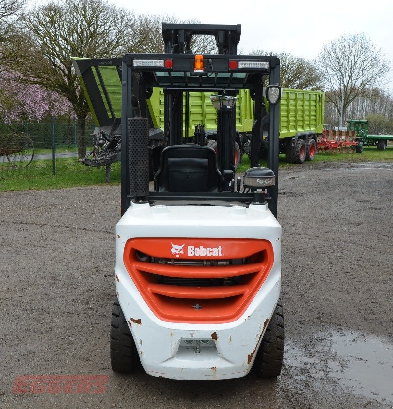 Gabelstapler typu Doosan D35C-9, Neumaschine v Suhlendorf (Obrázek 4)