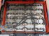 Gabelstapler del tipo Linde E 16 H EVO 386-02, Gebrauchtmaschine en Friedberg-Derching (Imagen 5)