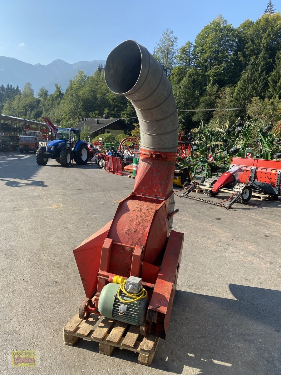 Gebläse typu Buchmann Buchmann Piccolo Express, Gebrauchtmaschine v Kötschach (Obrázek 4)