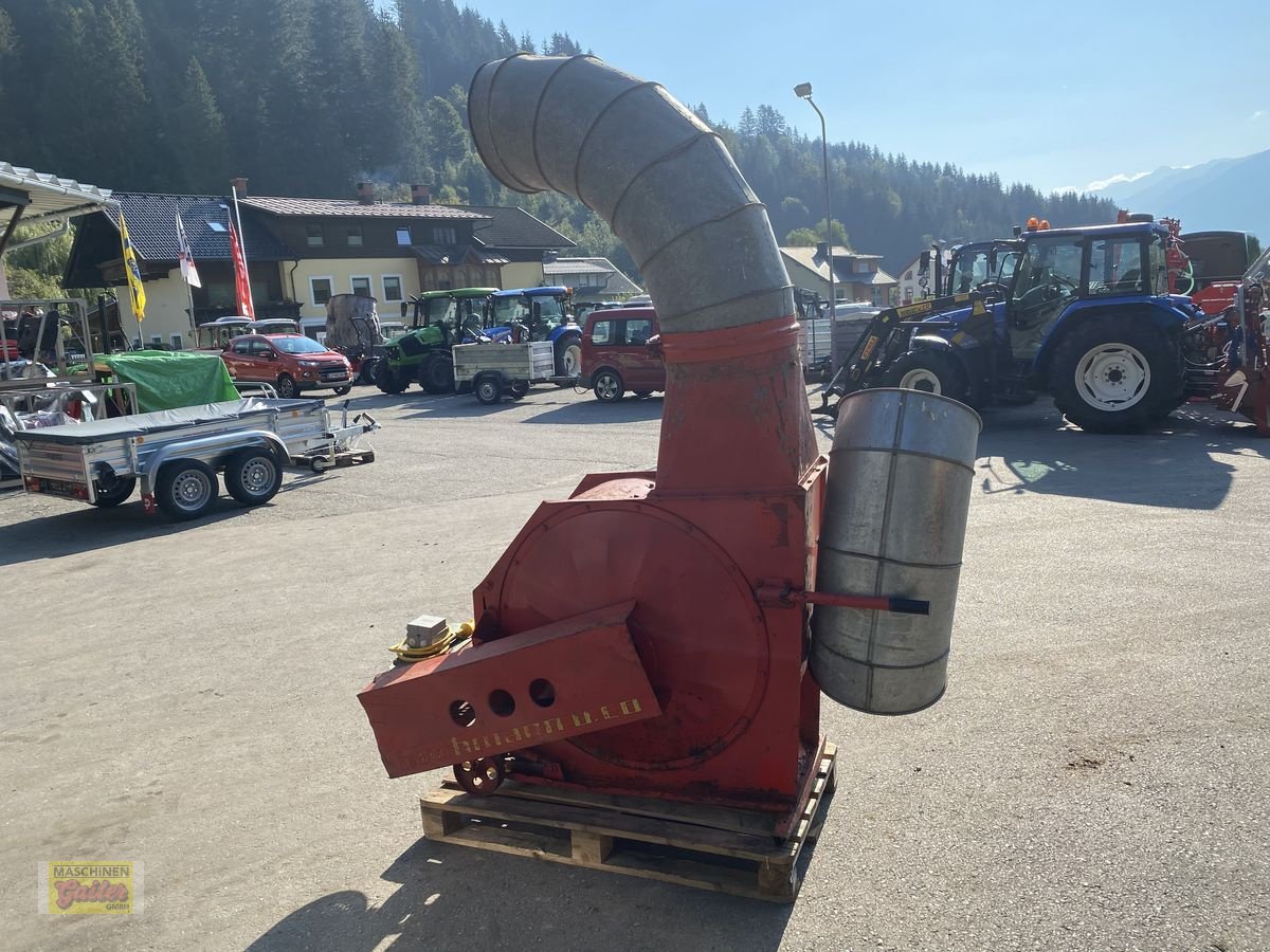 Gebläse typu Buchmann Buchmann Piccolo Express, Gebrauchtmaschine v Kötschach (Obrázek 3)