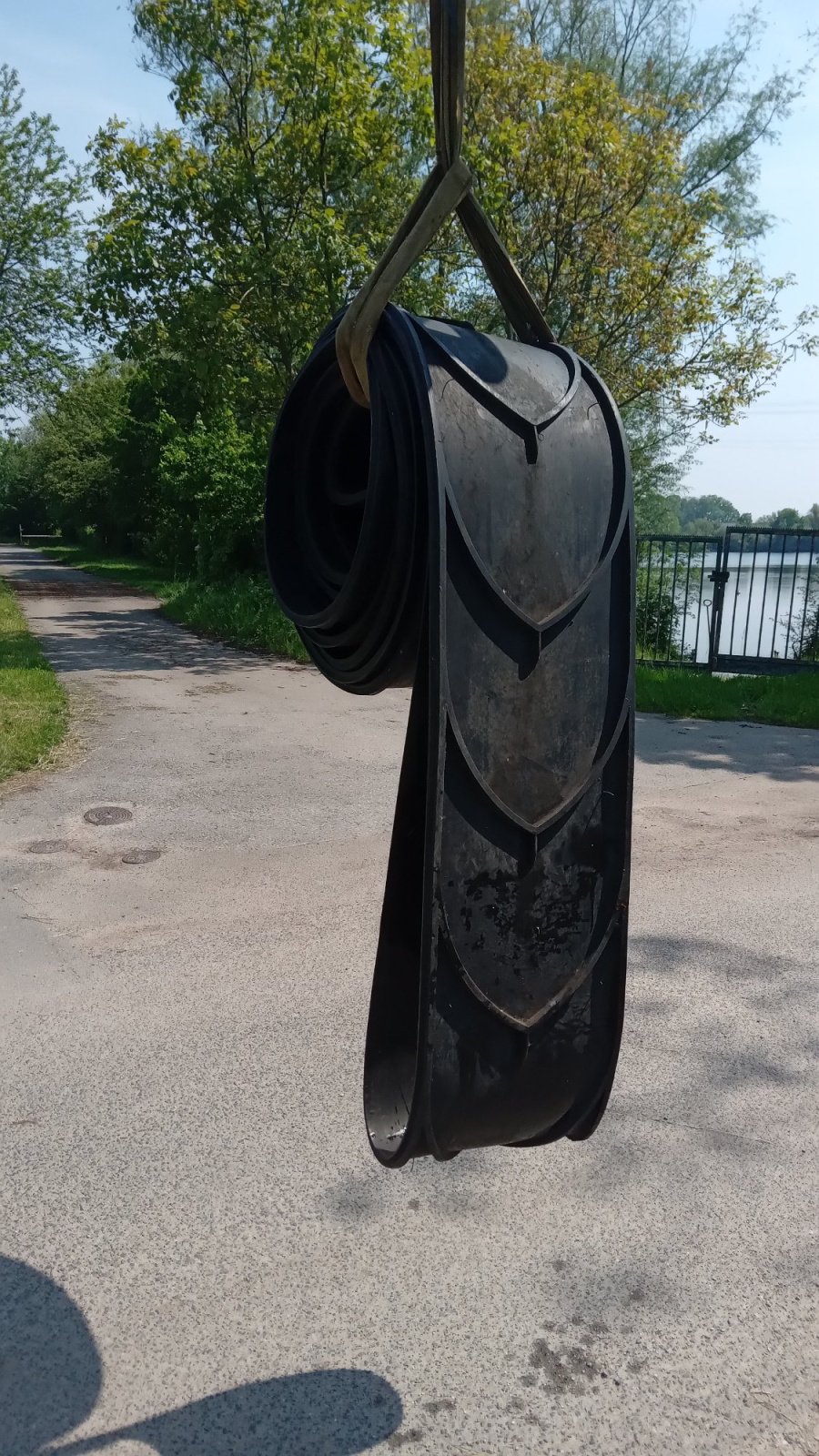 Gemüse-Förderband des Typs ABG Förderband Fördergurt Gummigurt Belt, Gebrauchtmaschine in Kaarst (Bild 1)