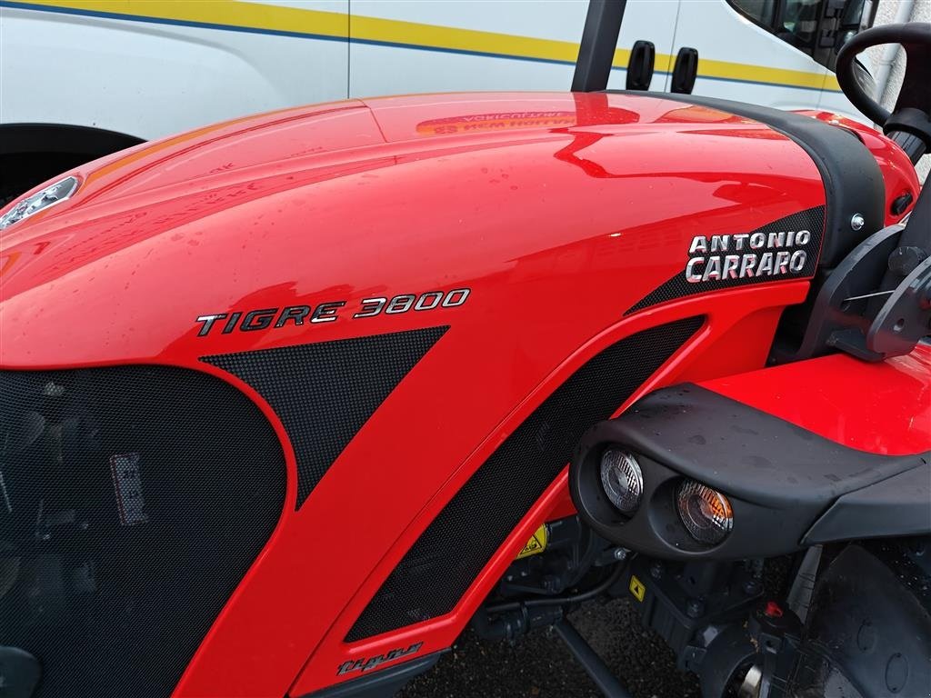 Geräteträger typu Antonio Carraro Tigre 3800 Ring for et godt tilbud, Gebrauchtmaschine v Holstebro (Obrázek 3)