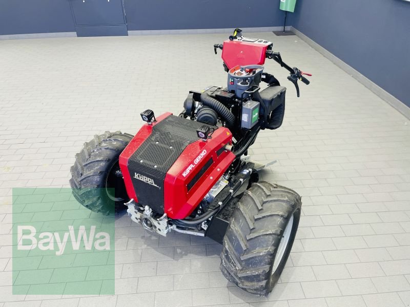 Geräteträger типа Köppl KÖPPL GEKKO, Vorführmaschine в Manching (Фотография 10)