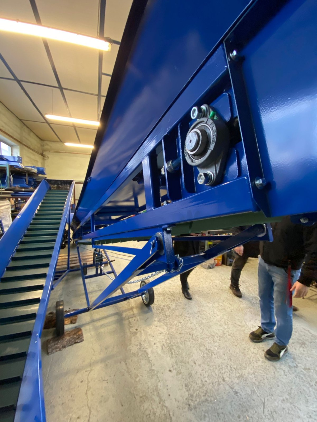 Getreidekanone des Typs Sonstige Förderband / belt conveyor, Neumaschine in Michałowo (Bild 16)