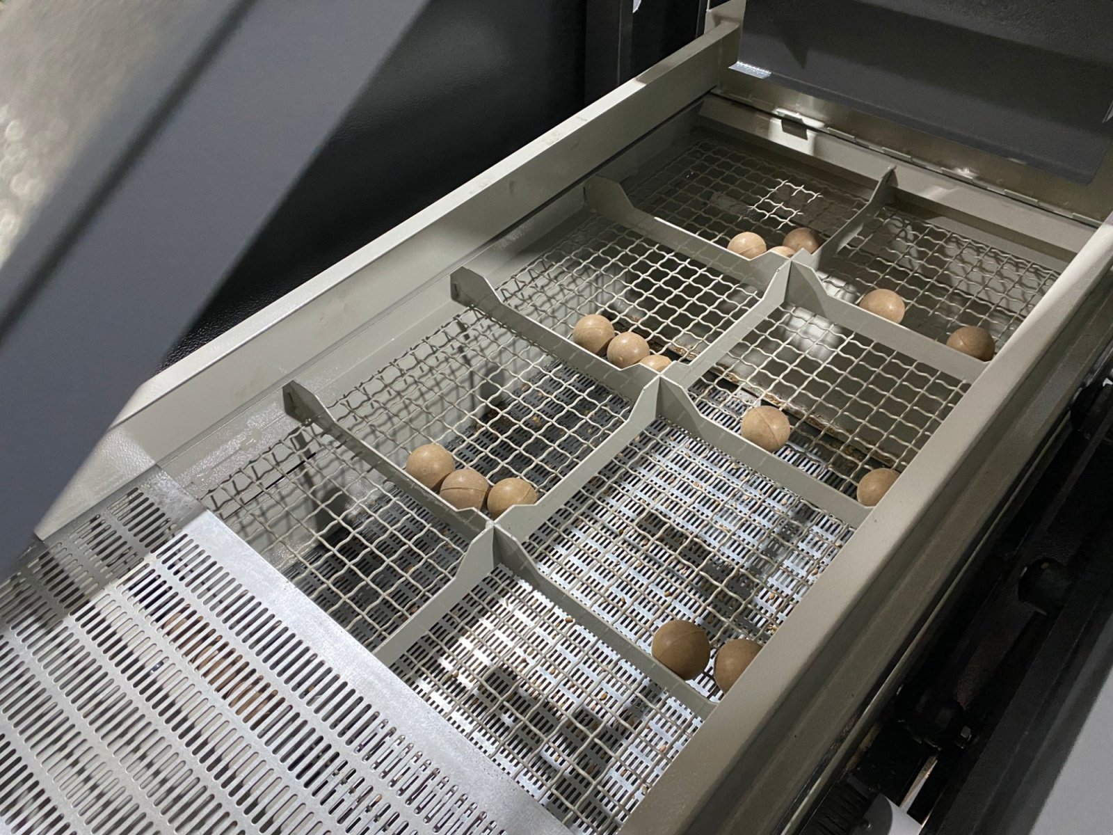 Getreidereinigung типа Lena Plus BG Ltd RS, Neumaschine в Sofia (Фотография 8)